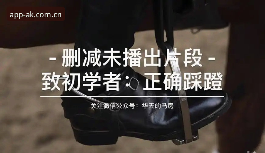 AK体育平台最新版技术详解与安装指南